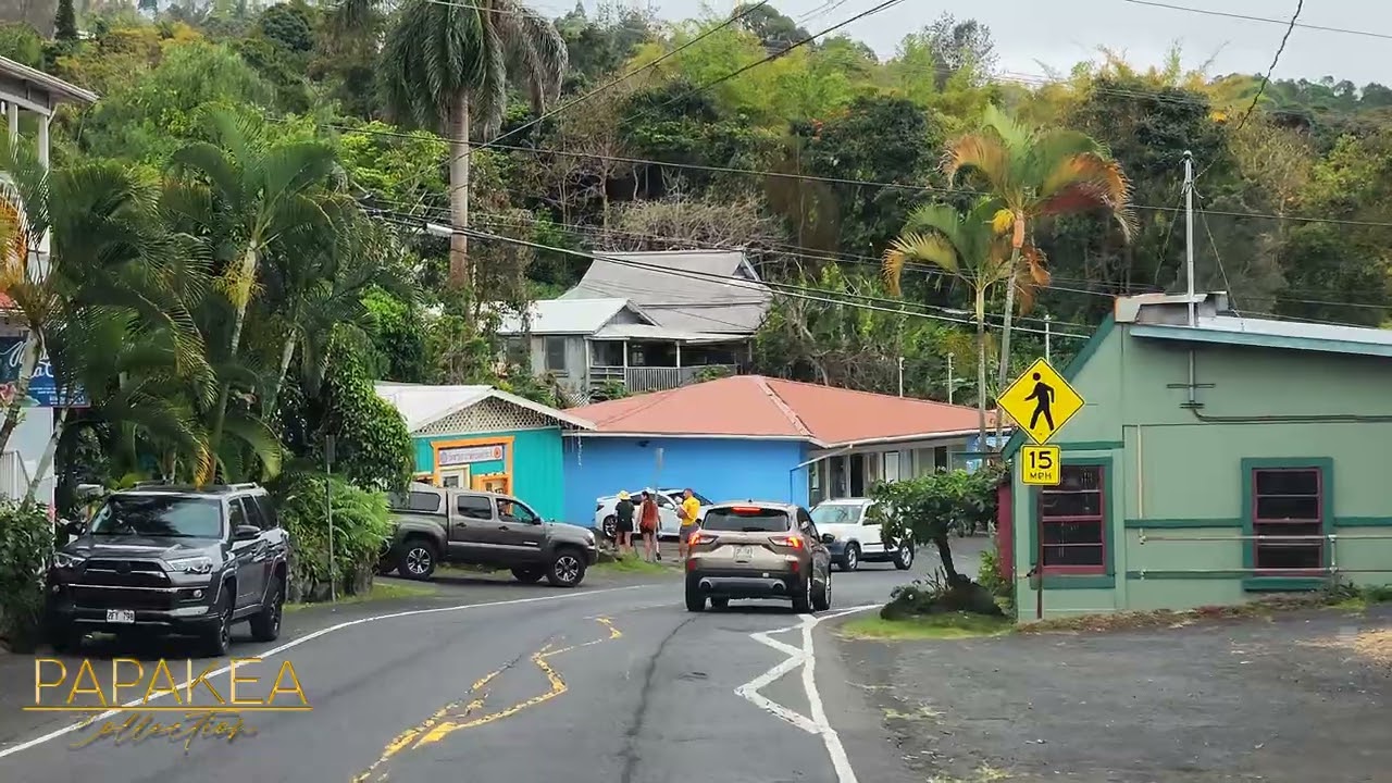 Kona in Focus: Beach Park Battles, Humane Society Buzz & Coffee Controversies Brew!