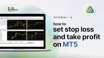 How to Set Stop Loss, Take Profit & Trailing Stop on MetaTrader 5 (MT5) | Hola Prime
