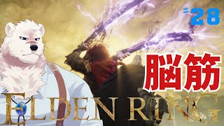【ELDEN RING】フロムゲー初心熊とエルデンリングしようぜっ！#28【獣Vtuber】