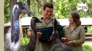 Our hilarious Aussie Icons | Australia Zoo Life