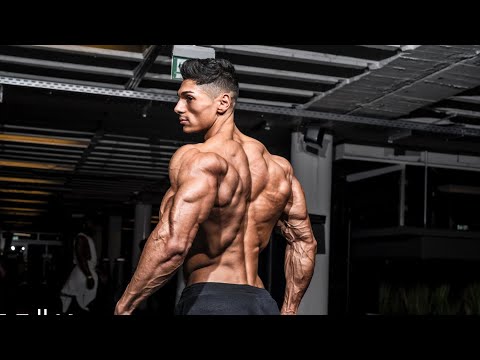 Andrei Deiu Back Workout *Full Workout*
