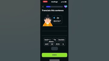 Ukrainian Level 1 Unit 2 #beginner #duolingo #learn #youtubeshorts #ukriane