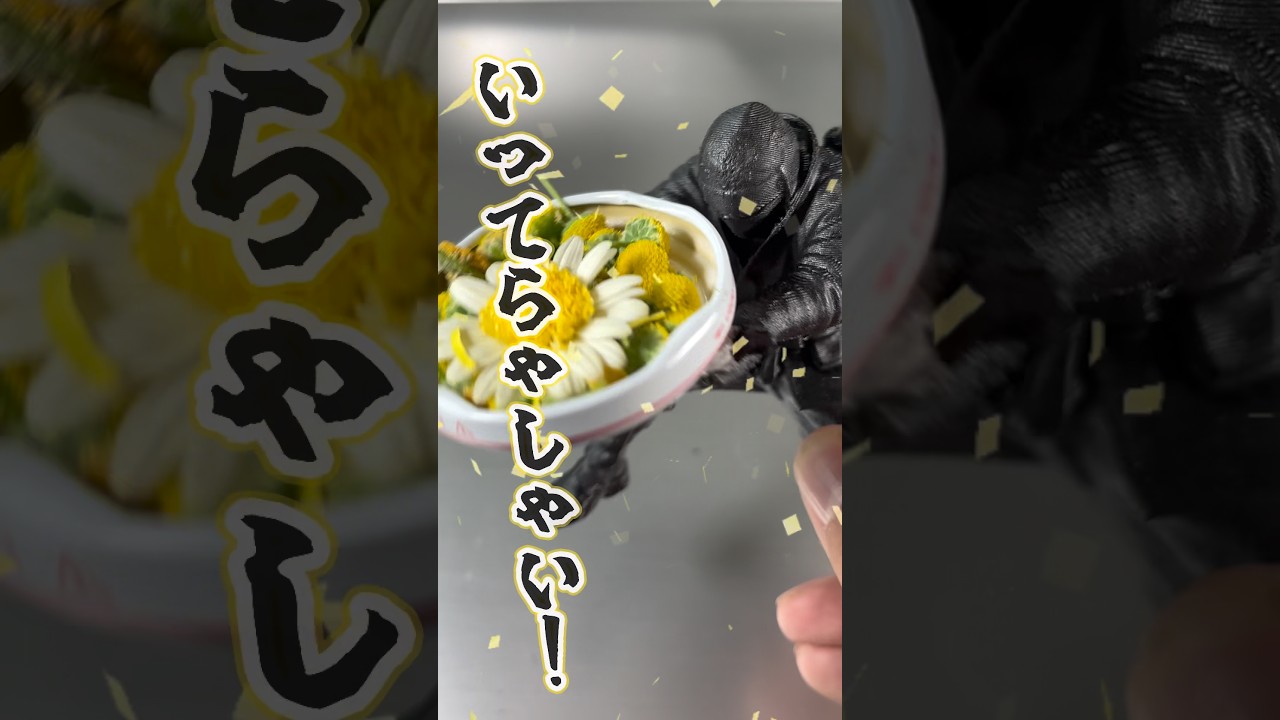 ホリエモンの食用菊ばらまきパフォーマンスを再現してみた！#wagyumafia