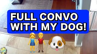 Talking Dog Has Full Conversation with His Humans #talkingdog #dogs #australianshepherd