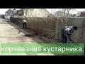 Как избавиться от кустарников сирени