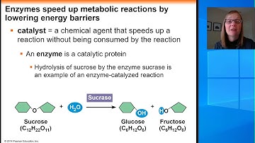 Chapter 8 Energy of Activation and Enzyme Introduction