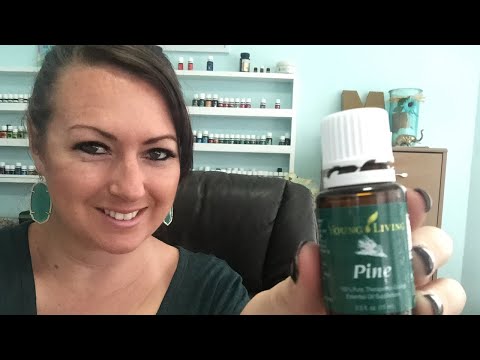 Pine Essential Oil 10 Tips In 2 Minutes