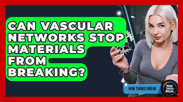 Can Vascular Networks Stop Materials From Breaking? - How Things Break