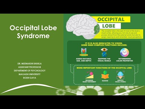 The Occipital Lobe Syndrome   पश्चकपाल पालि सिंड्रोम