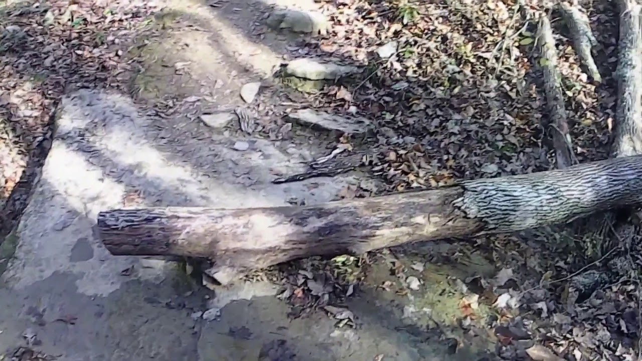 Victure AC 700 Action Camera OTG 65