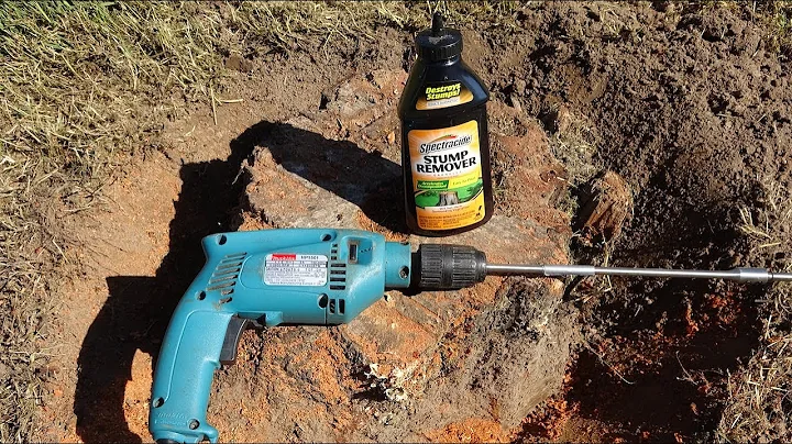 How to Remove a Tree Stump - Using Spectracide Gra...