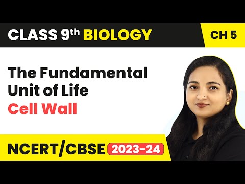 Cell Wall - The Fundamental Unit of Life | Class 9 Biology