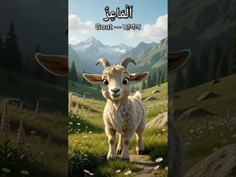 Learn Arabic Animals Name #shorts #learnarabic