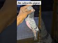 #kabootarba #kabutarandekabdetehain #youtubetrends #pigeonlaver #kabootarloft05