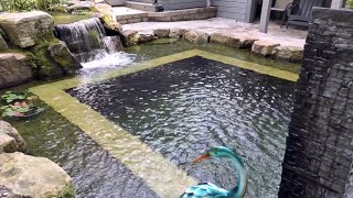 Natural Pool Backyard Oasis | Customer Testimonial