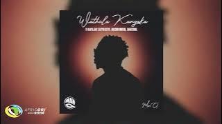 Man Q - Wathula Kangaka (feat. Ray&Jay, Luzyo Keys, Davesoul & Orchid MusiQ) (Official Audio)