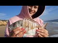 Surfcasting HUELVA(MATALASCAÑAS)