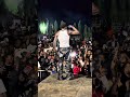 Joe ikon beerland llz performance