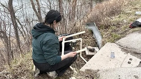 Movement Underneath: Insights into Biodiversity in Salamander Passage Tunnels
