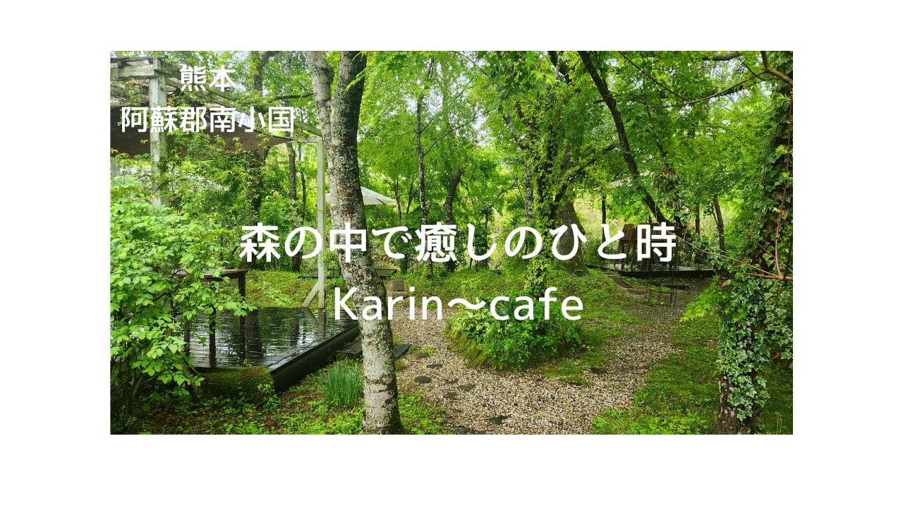 熊本南小国の緑いっぱい森の中のcafeで癒し時間♬