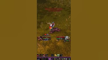 sheep malfunction #shorts #sheep #error #bug #worldofwarcraft #wow #meme #funny #fail #pvp #druid