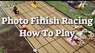 Photo Finish Racing How To Play screenshot 4