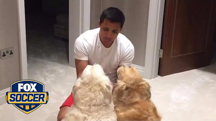Alexis Sanchez really loves his dogs | FOX SOCCER