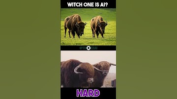 How Many Did You Get Right?🤔🧐🫥🤨