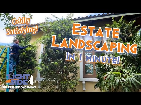 LIGHT SIDE Estate Landscaping Time-Lapse: Tree Trimming by hand manicured palms 😎👀🔥