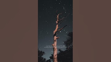 🌙آيات تخشع لها القلوب (٤)