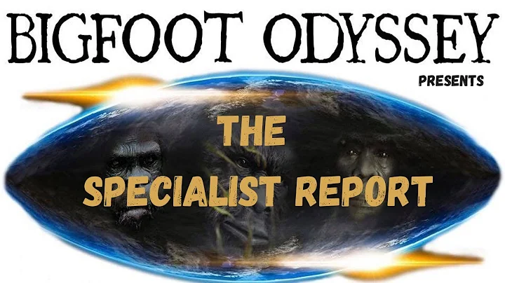 THE SPECIALIST REPORT - MATTHEW LOMBARDO