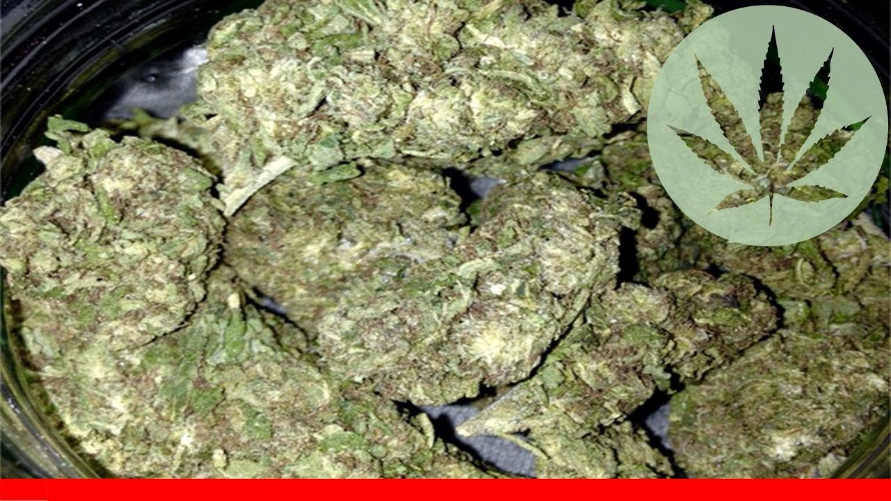 Blue Trainwreck - All About This Strain