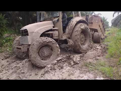 Traktor angkut buah sawit