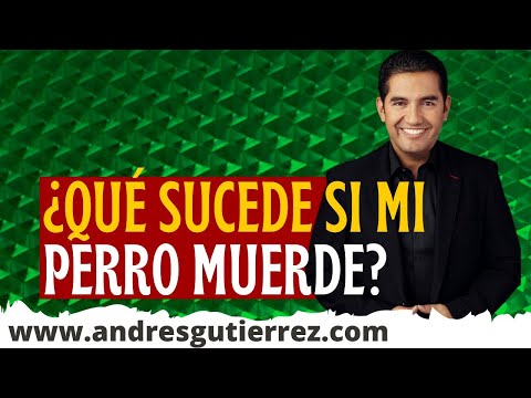 Video: 35 segundos que podrían evitar que una mordedura de perro suceda