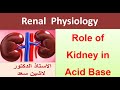 Role of the kidney  in acid base balance  -Lashin