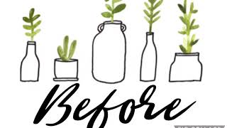 Aesthetic Plant Trace/Drawing