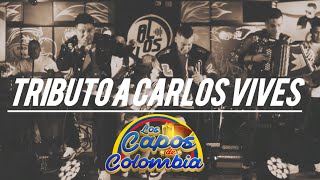 TRIBUTO A CARLOS VIVES x LOS CAPOS DE COLOMBIA ( Robarte un beso , La bicicleta, Justicia )