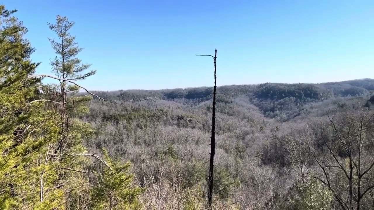 Тропа Грейс-Арч с видом на ущелье в… ущелье Ред-Ривер… Кентукки!! Подписывайтесь и ставьте лайки!