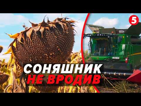 💸ОЛІЯ ЗДОРОЖЧАЄ?🌻 Врожай впав УДВІЧІ, а експорт заблоковано: що чекає на цінники!