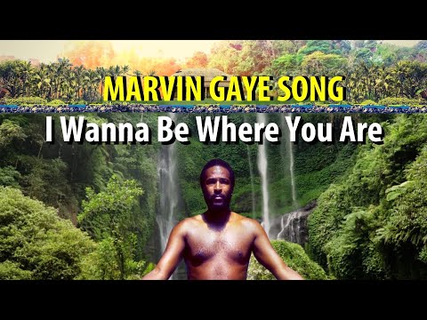 レア盤！Marvin Gaye/I Wanna Be Where You Are Marvin Gaye · I Wanna Be Where You Are / I Want You (LP) (2023)