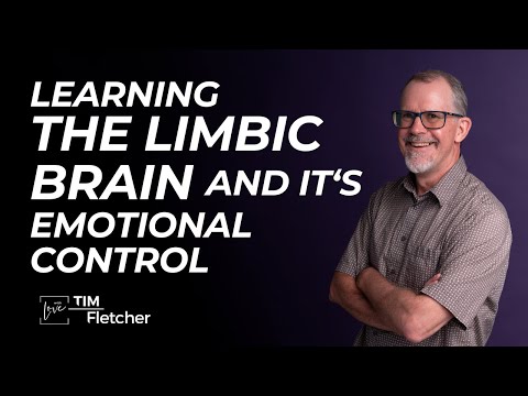 Re-Parenting - Part 3 - Limbic Brain