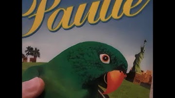 My Universal VHS Collection 2021 Part 5