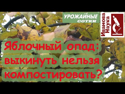 Видео: Подкисляет ли компост почву?