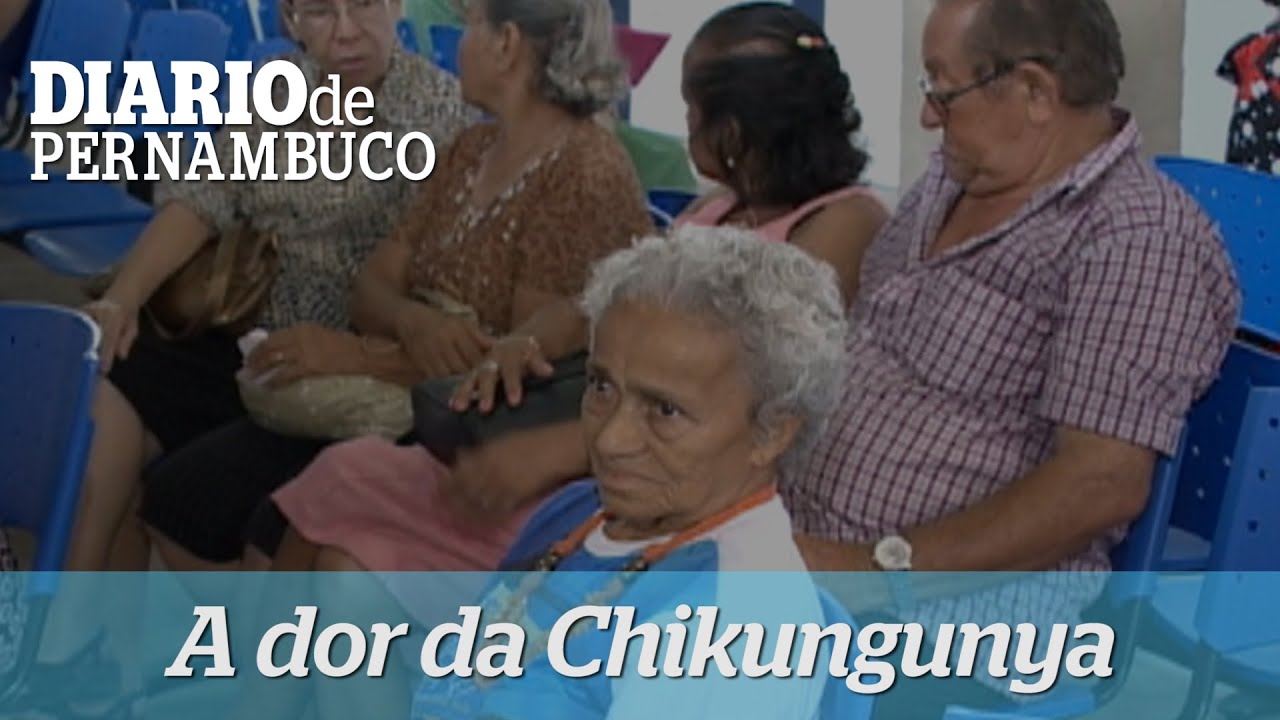 Protocolo de Manejo da Dor na Chikungunya pernambuco map