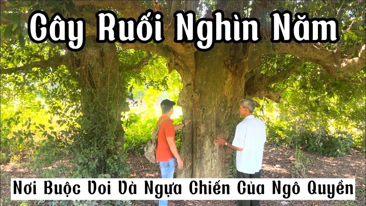 Nơi Duyệt Binh Của Vua Ngô Quyền Đánh Trận Bạch Đằng Năm 938 Ít Người Biết