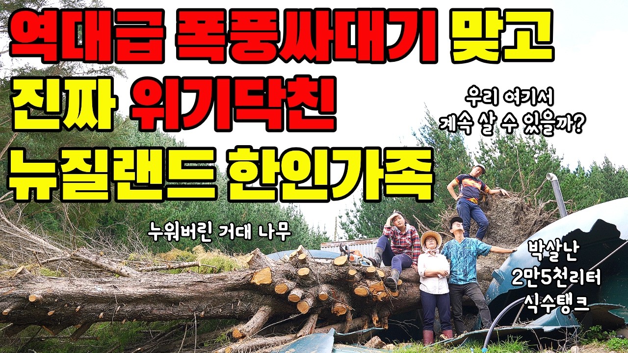 아수라장된 뉴질랜드 우리동네(?) 정말 삶이 힘들지만..(뉴시가 OST 주제가 최초공개)