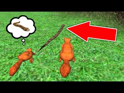 Видео: СИМУЛЯТОР БЕЛКИ #5 ВОСПИТЫВАЕМ БЕЛЬЧОНКА и ОХОТИМСЯ на ЗМЕЮ в Squirrel Simulator