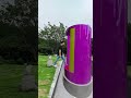 Have You Seen It Have You Seen It