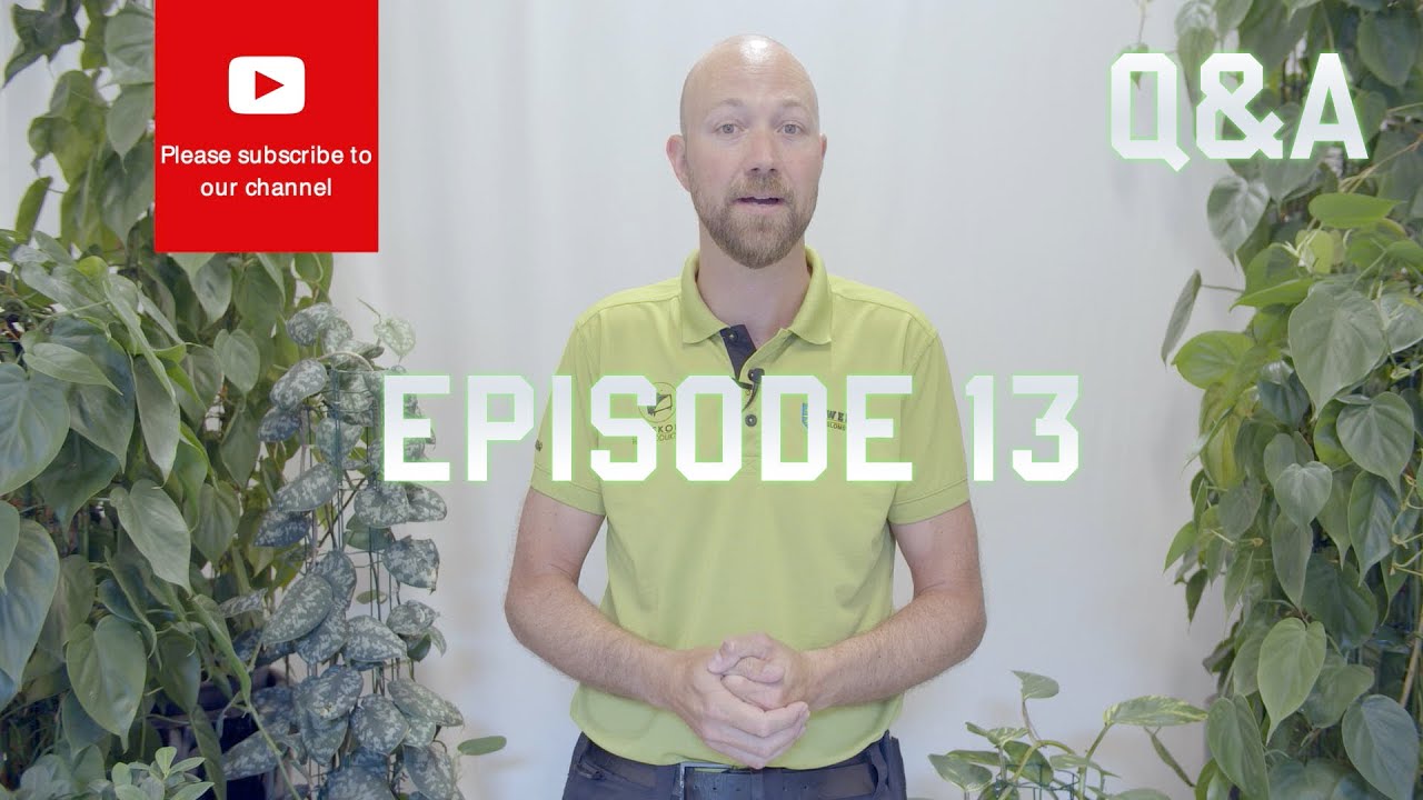 Q&A Episode 13 - YouTube