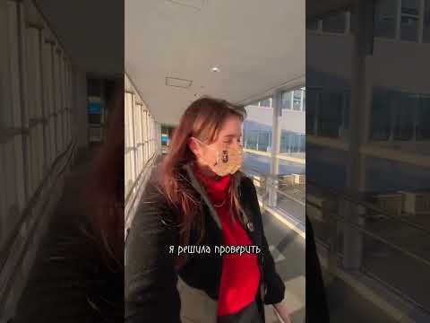Япония - это КАК? Не могу поверить 🤯🇯🇵 #явшоке #аэропорт #япония #путешествие #самолеты
